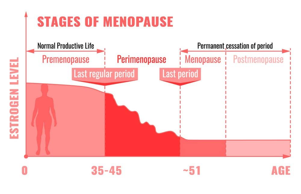 new research on menopause